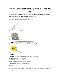 2024-2025学年山东省青岛市市北区八年级(上)期中物理试卷