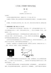 河南省安阳市林州市2024-2025学年八年级上学期期中物理B卷