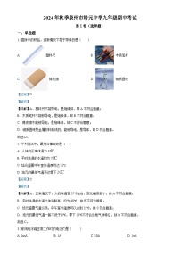 福建省泉州市培元中学2024-2025学年九年级上学期期中考试物理试题（解析版）-A4