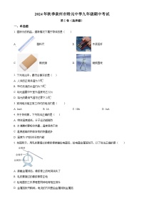 福建省泉州市培元中学2024-2025学年九年级上学期期中考试物理试题（原卷版）-A4