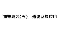 人教版（2024）八年级上册（2024）第五章 透镜及其应用复习ppt课件