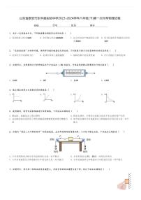 山东省泰安市东平县实验中学2023-2024学年八年级(下)第一次月考物理试卷.(含解析)