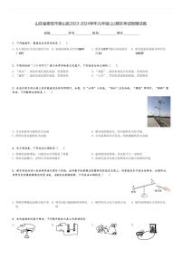 山东省泰安市泰山区2023-2024学年九年级(上)期末考试物理试卷.(含解析)