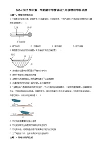 广东省深圳龙岗区龙岗外国语学校2024~2025学年九年级上学期期中物理试题（原卷版）-A4