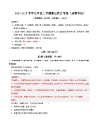 九年级物理第三次月考卷（成都专用，第13~18章）：2024+2025学年初中上学期第三次月考.zip