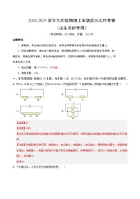 九年级物理第三次月考卷（济南专用，第14.4~15.4章）：2024+2025学年初中上学期第三次月考.zip