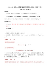 八年级物理第三次月考卷（安徽专用，沪科版2024，1~5章）2024+2025学年初中上学期第三次月考.zip