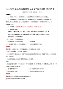 八年级物理第三次月考卷（贵州专用，人教版2024，1~5章）2024+2025学年初中上学期第三次月考.zip