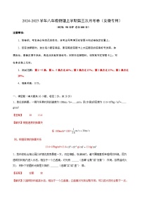 八年级物理第三次月考卷（安徽专用，沪科版2024，1~5章）2024+2025学年初中上学期第三次月考.zip