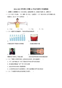 吉林省长春市榆树市2024-2025学年八年级上学期11月月考物理试题