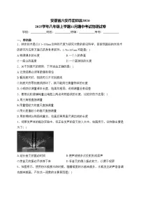 安徽省六安市霍邱县2024-2025学年八年级上学期11月期中考试物理试卷(含答案)