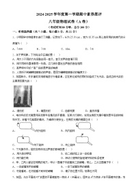 广东省茂名市高州市四校联考2024-2025学年八年级上学期11月期中物理试题(无答案)
