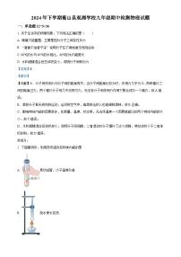 湖南省衡山县观湘中学2024-2025学年九年级上学期期中考试物理试题（解析版）-A4