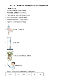 湖南省衡山县观湘中学2024-2025学年九年级上学期期中考试物理试题（原卷版）-A4