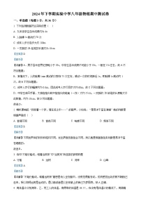 湖南省怀化市洪江市实验中学2024-2025学年八年级上学期11月期中物理试题（解析版）-A4