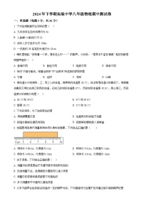 湖南省怀化市洪江市实验中学2024-2025学年八年级上学期11月期中物理试题（原卷版）-A4