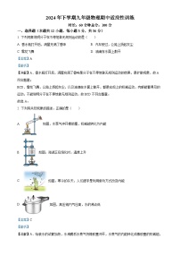 湖南省株洲市二中莲花中学2024-2025学年九年级上学期期中适应性训练物理试题（解析版）-A4