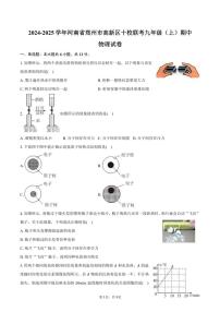 2024～2025学年河南省郑州市高新区十校联考九年级(上)期中物理试卷(含答案)