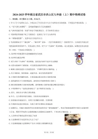 2024～2025学年湖北省武汉市洪山区九年级(上)期中物理试卷(含答案)