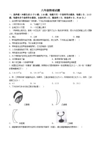 山东省淄博市周村区（五四制）2024-2025学年八年级上学期期中考试物理试题（含答案）