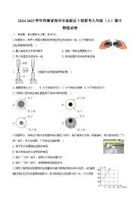 2024-2025学年河南省郑州市高新区十校联考九年级（上）期中物理试卷（含答案）