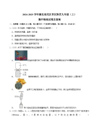 湖北省武汉市汉阳区2024-2025学年九年级上学期期中物理试卷