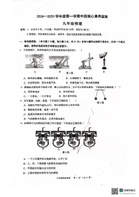广东省清远市连州市2024-2025学年九年级上学期期中物理试卷