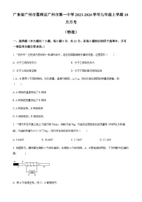 广东省广州市第一中学2023-2024学年九年级上学期10月月考物理试题（含答案）