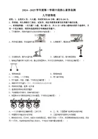 广东省清远市连州市2024-2025学年九年级上学期期中物理试卷