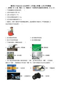 江苏省南京江宁区2023-2024学年 八年级上学期 10月月考物理