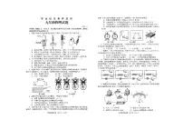 山东省枣庄市薛城区2024-2025学年九年级上学期期中考试物理试题