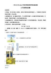 湖北省丹江口市2024-2025学年九年级上学期期中教育教学质量监测物理试题 （解析版）-A4