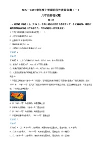 湖北省荆州市石首市2024-2025学年八年级上学期11月期中物理试题（解析版）-A4