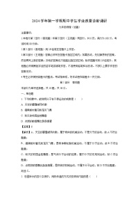 2024~2025学年广东省广州市白云区九年级(上)期中考试物理试卷(解析版)