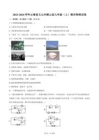 2023～2024学年云南省文山州砚山县九年级(上)期末物理试卷(含答案)