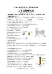 山东省聊城市临清市2024-2025学年九年级上学期期中考试物理试题