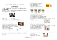 山东省德州市夏津县2024-2025学年九年级上学期期中考试物理试题