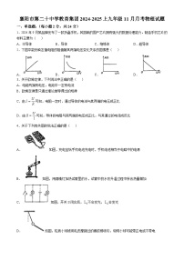 湖北省襄阳市第二十中学教育集团2024-2025学年九年级上学期物理期中考试试卷(无答案)