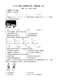 吉林省长春市第八十七中学2024-2025学年八年级上学期期中物理考试(无答案)
