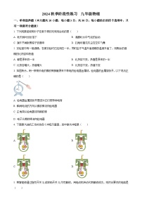 天津市北辰区第三学区2024-2025学年九年级上学期11月期中物理试题（原卷版）-A4