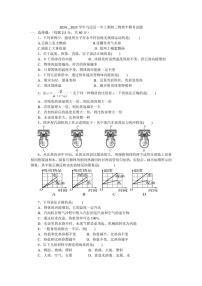 2024～2025学年四川省马边彝族自治县第一初级中学九年级(上)期中物理试卷(无答案)