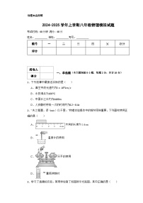 2024-2025学年八年级上学期期末物理模拟试题