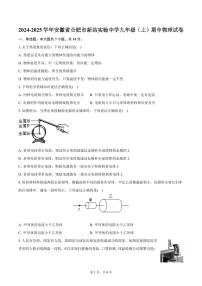 2024-2025学年安徽省合肥市新站实验中学九年级（上）期中物理试卷（含答案）