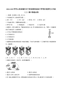 2024-2025学年山东省德州市宁津县第四实验中学等多校联考九年级（上）期中物理试卷（含答案）