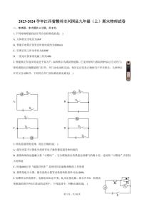 2023-2024学年江西省赣州市兴国县九年级（上）期末物理试卷（含答案）