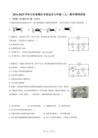 2024-2025学年山东省烟台市招远市九年级（上）期中物理试卷（含答案）