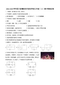 2024-2025学年四川省攀枝花外国语学校九年级（上）期中物理试卷（含答案）