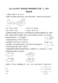 2024-2025学年广东省实验中学教育集团九年级（上）期中物理试卷（含答案）