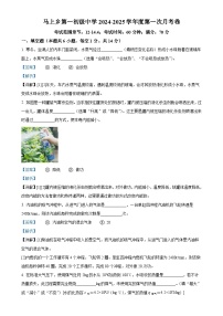 河南省安阳市马上乡第一初级中学九年级2024-2025学年九年级上学期第一次月考物理试题（解析版）-A4