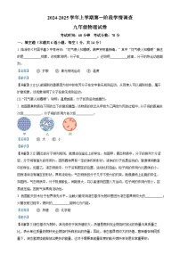 河南省濮阳市濮阳经济技术开发区第四初级中学2024-2025学年九年级上学期9月月考物理试题（解析版）-A4